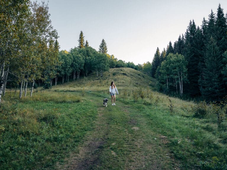 The Crossing at Ghost River Walking Trails