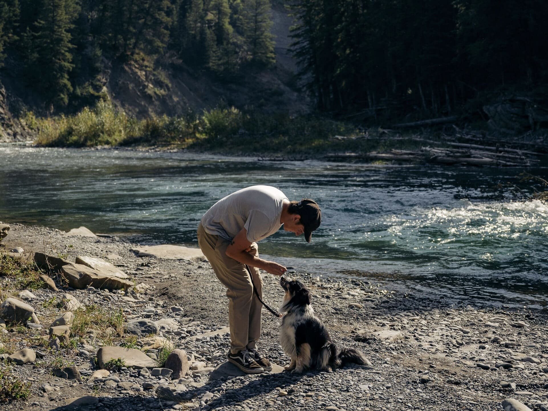 dog friendly getaway the crossing cochrane ab dog friendly getaway the crossing cochrane ab