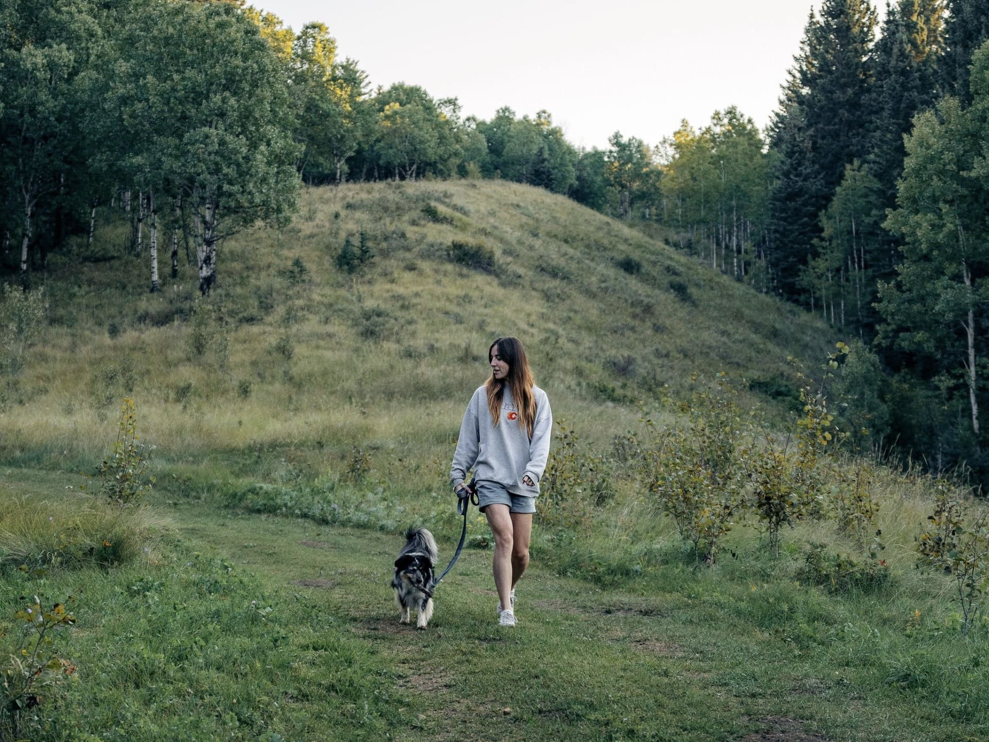 Crossing - Pet Friendly pet friendly getaway near calgary