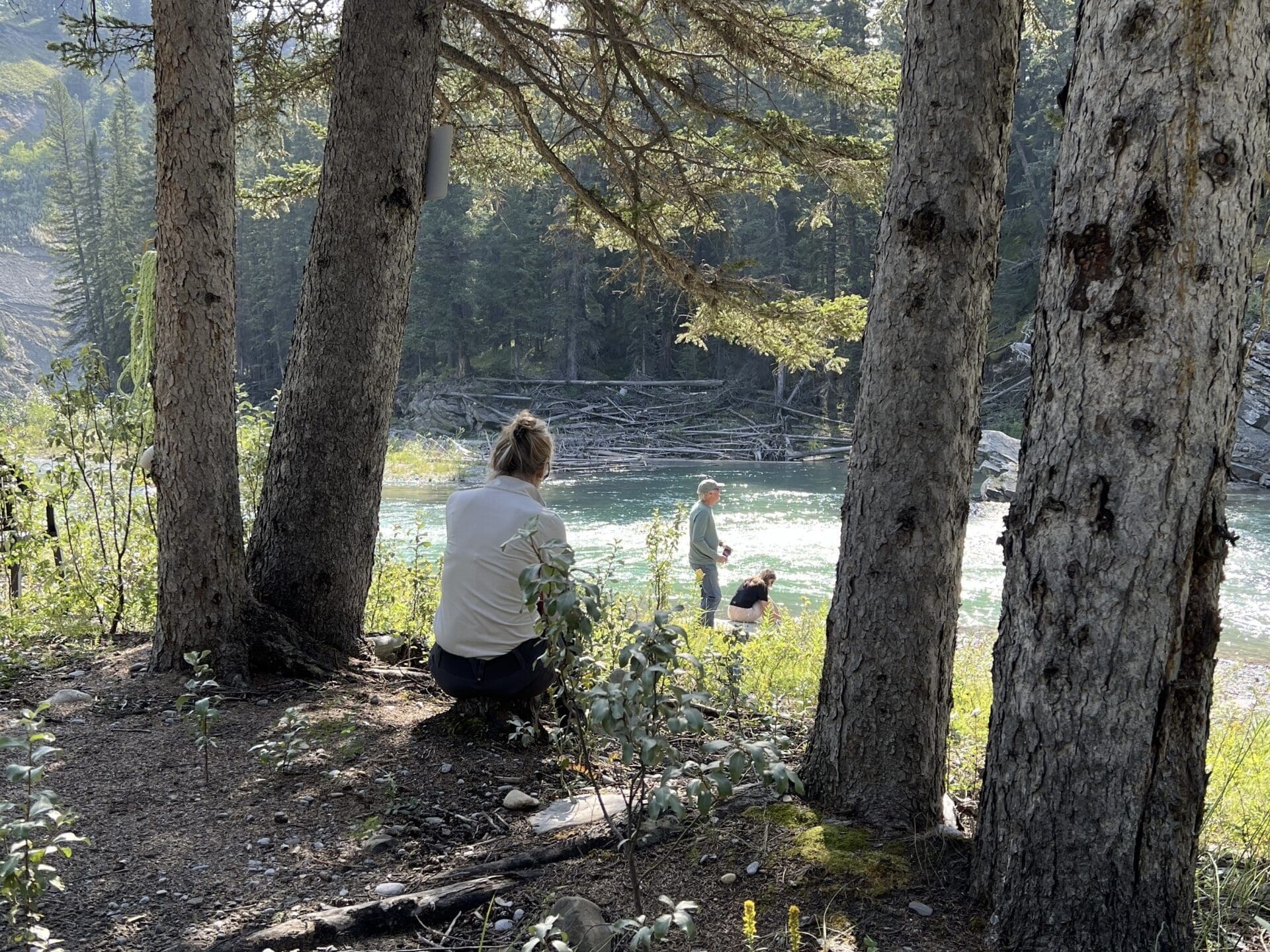 IMG_4514 the crossing river forest nature escape in cochrane ab