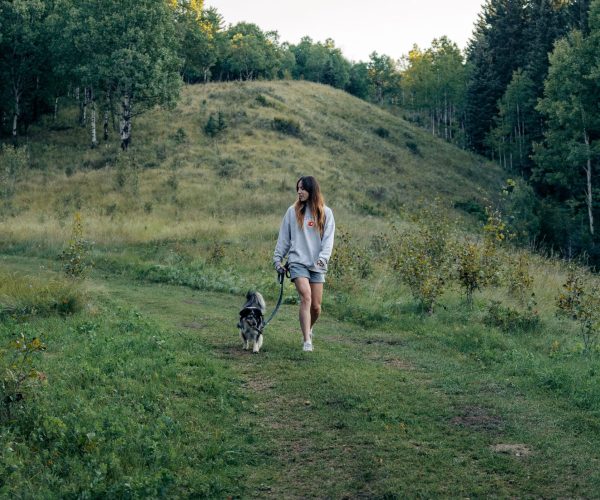 Crossing - Pet Friendly