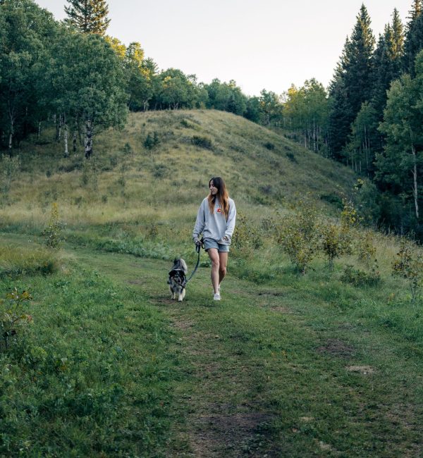 Crossing - Pet Friendly